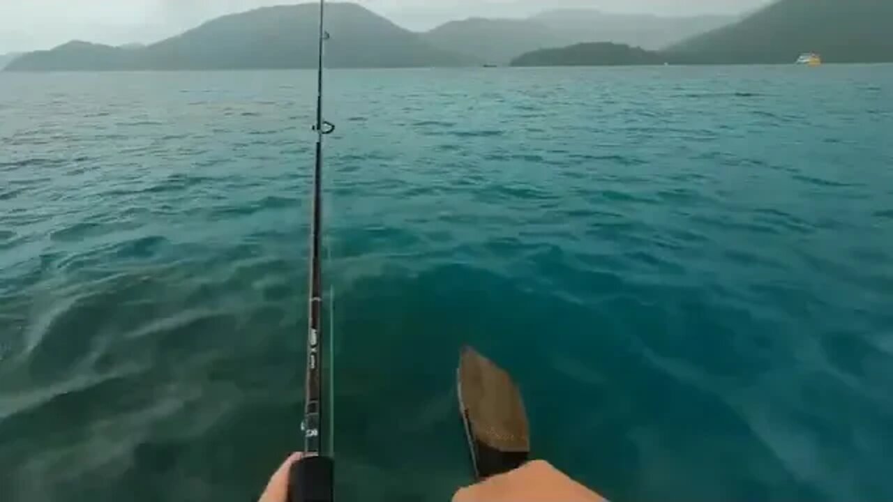 8 @@@@ Solo Hootchie camping on mini island Kayaking Beach Shark fishing