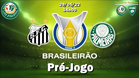 Pré-Jogo Santos X Palmeiras - 29/05 - 14h - Veja onde assistir, escalações, desfalques e arbitragem