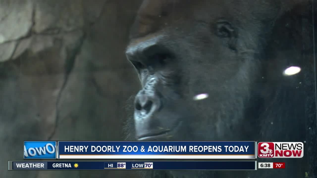 What to expect at the zoo on reopening day
