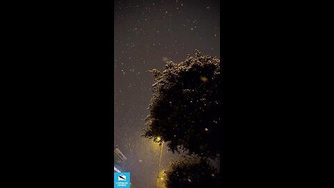 Vamos criar uma corrente de positividade! Compartilhe uma mensagem de amor e compaixão