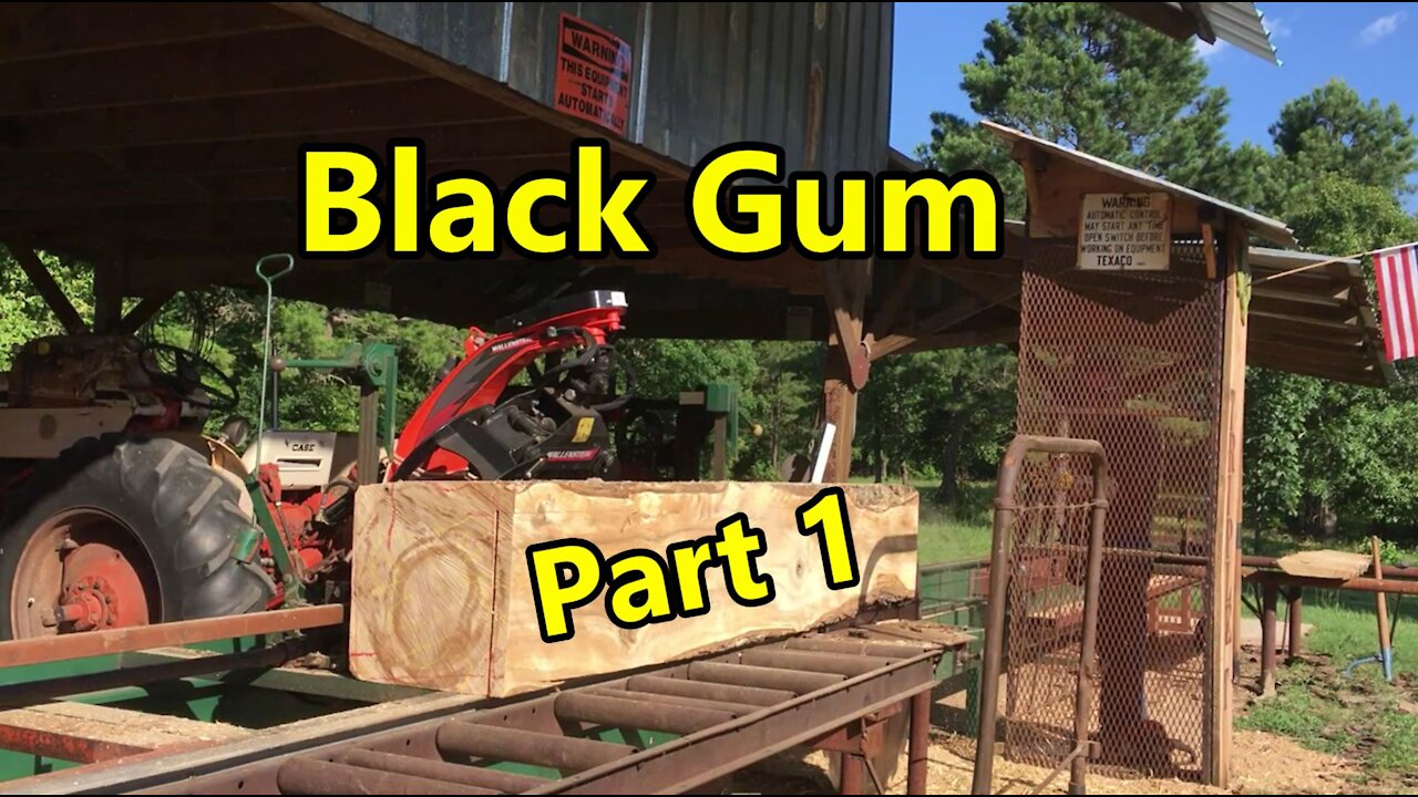 Sawmill Blackgum Lumber Part 1