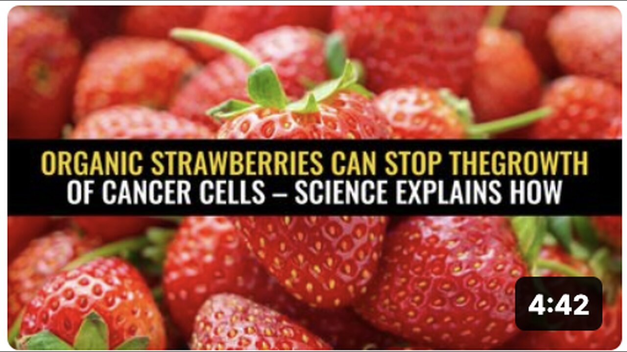 Organic strawberries can stop the growth of cancer cells – science explains how