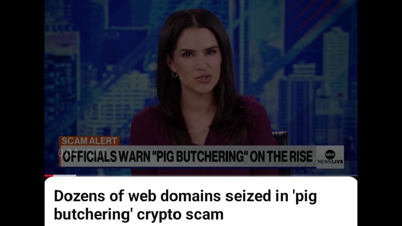 Dozens of web domains seized in pig butchering crypto scams