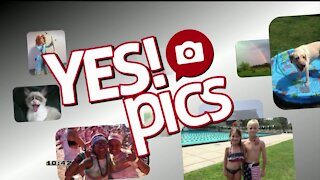 Yes! Pics - 10/16/20