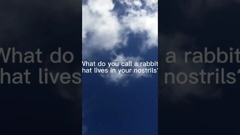 Rabbit joke - Subscribe for more great jokes. @dadjokeschannel #shorts #dadjokes