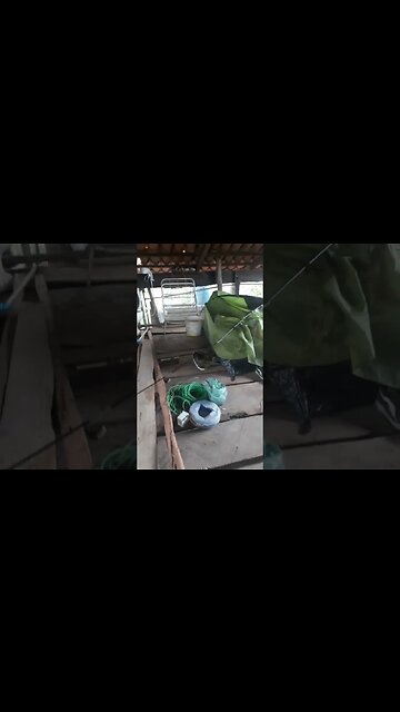 RONCO PODEROSO ! KKK