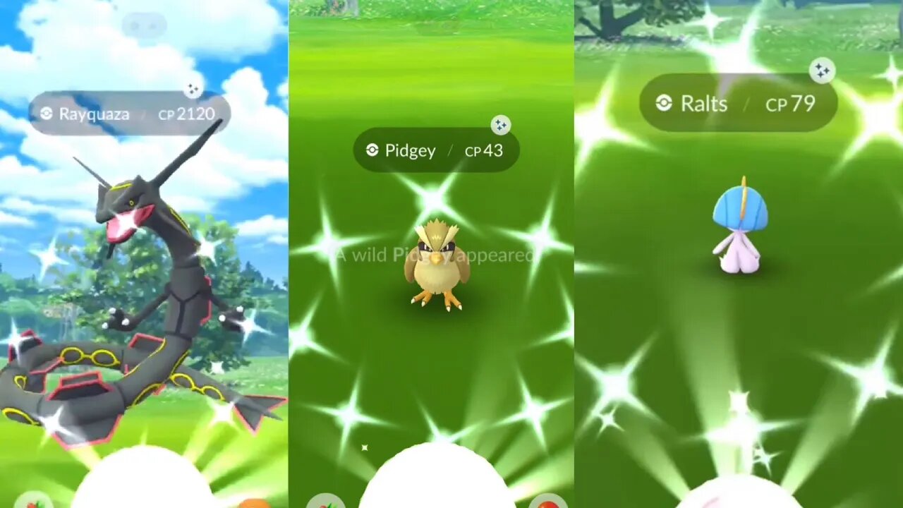 shiny Hunting & Rayquaza and mega latios and latias Raids