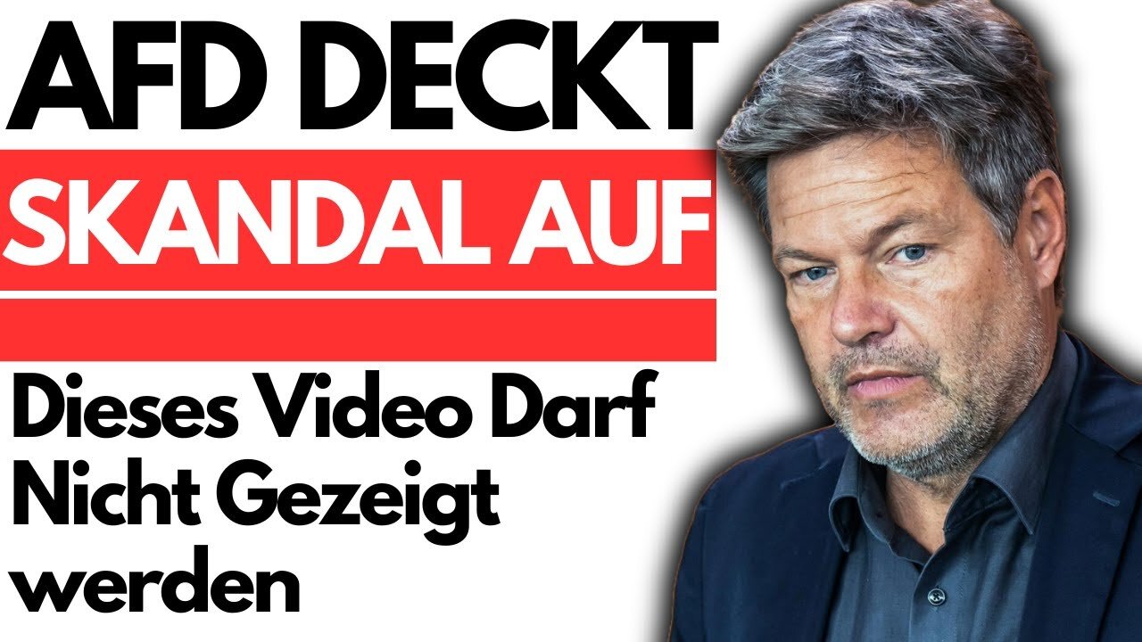 AfD deckt HABECKS LÜGEN AUF! NEUER GRÜNEN SKANDAL!💥@Rationale Politik🙈