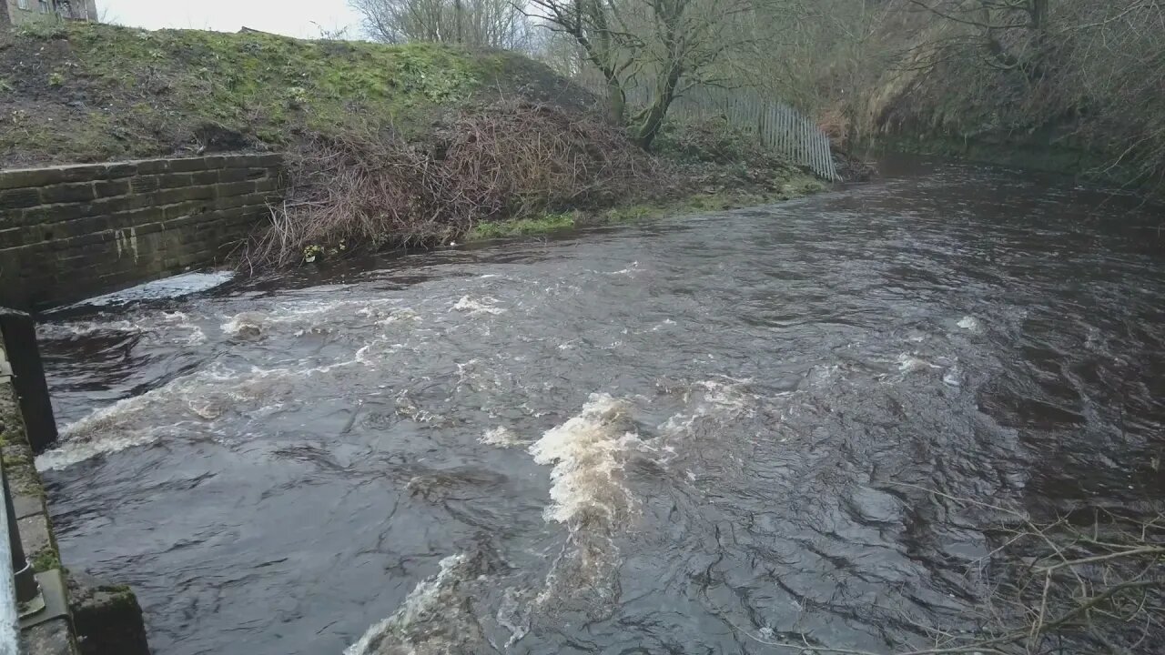 Avoiding muddy puddles on a muddy path