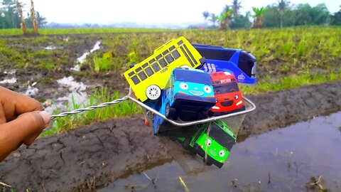 Mencari dan Menemukan Mainan Bus Tayo, Lani, Gani, Rogi Dengan Jaring di Kumbangan Lumpur dan Sungai