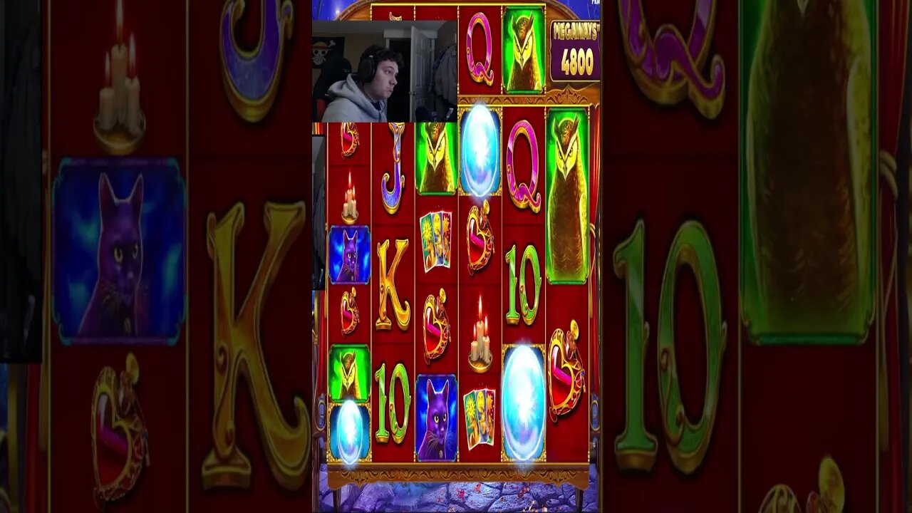 INSANE 1000x SLOT WIN #slotmachinewin #casino #gamble #bonusbuys #slotwin #gaming