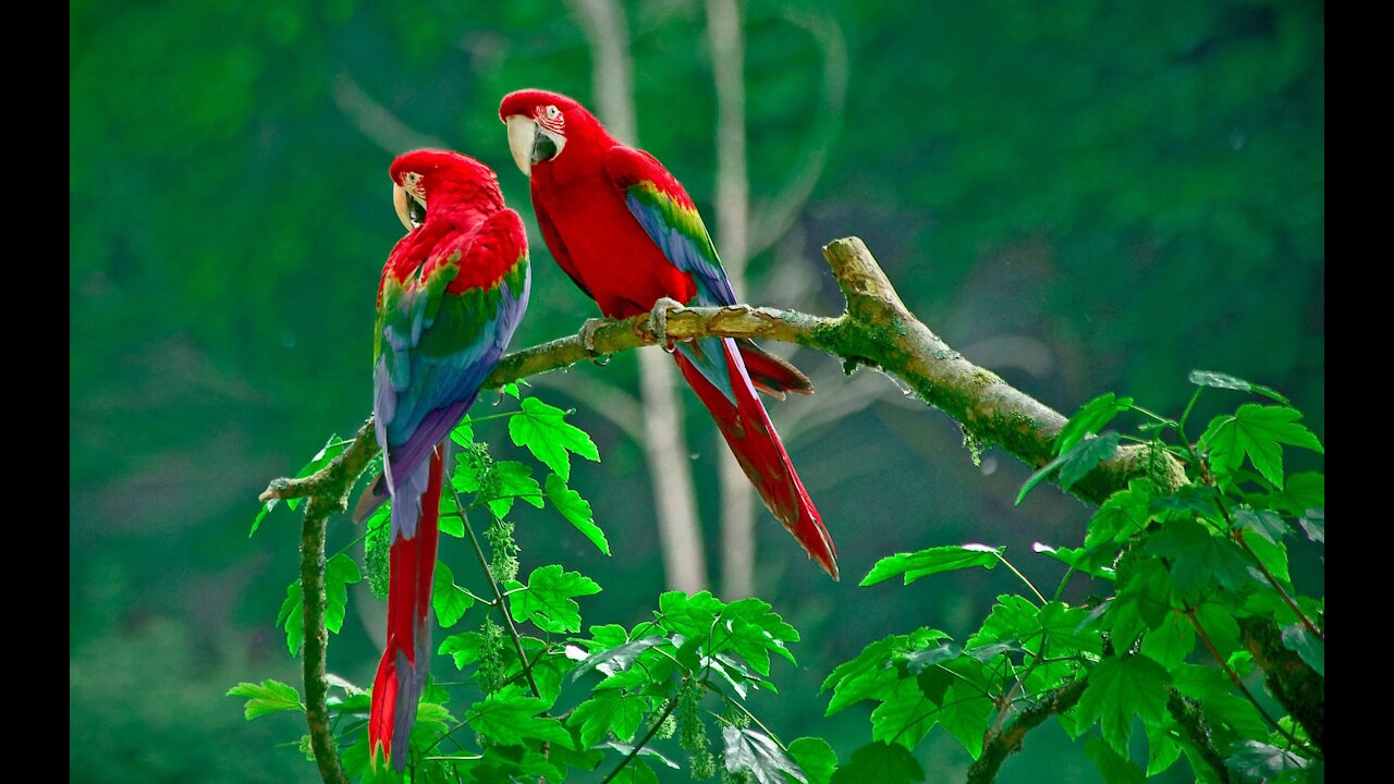 natural bueity Home land