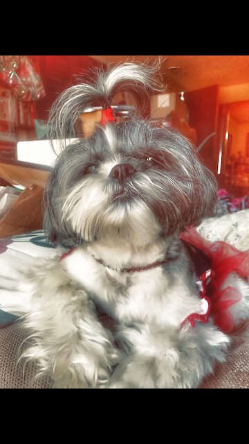 Amayiah at the Post Office after Hours