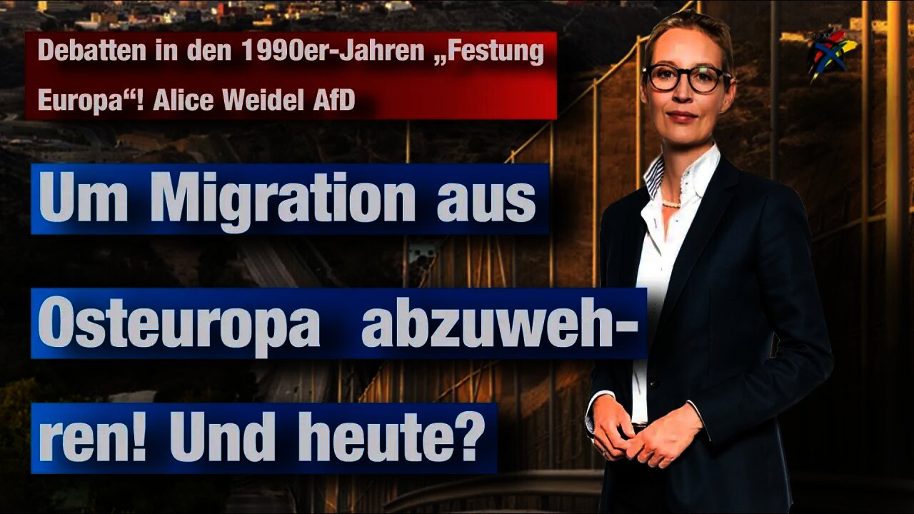 Debatten in den 1990er-Jahren „Festung Europa"! Alice Weidel AfD