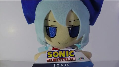 Sanic 2 hus