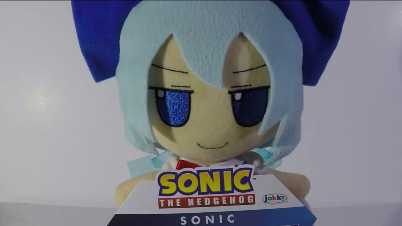Sanic 2 hus