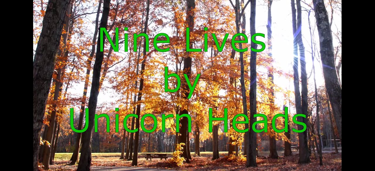 πΆππΆ Nine Lives by Unicorn Heads πΆππΆ