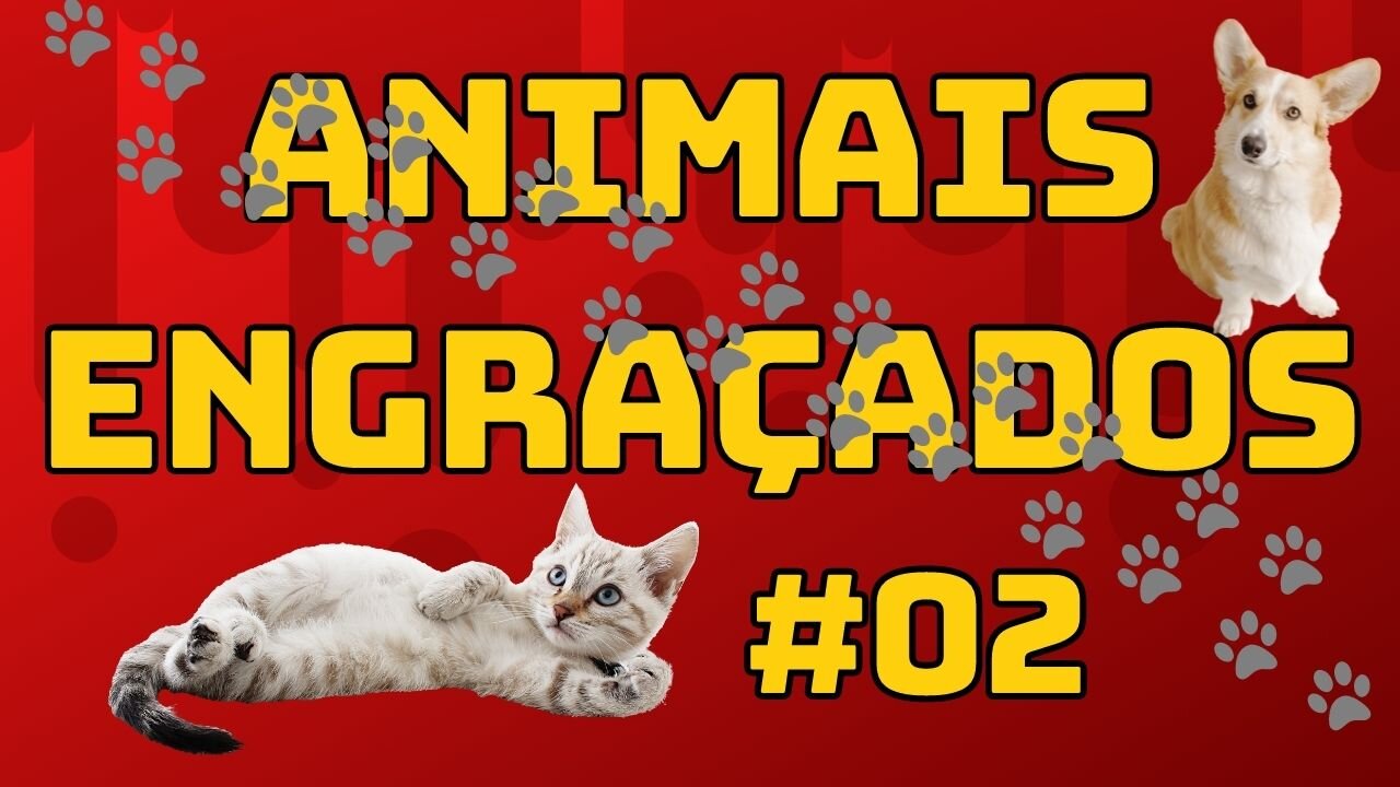 FUNNY ANIMALS #02