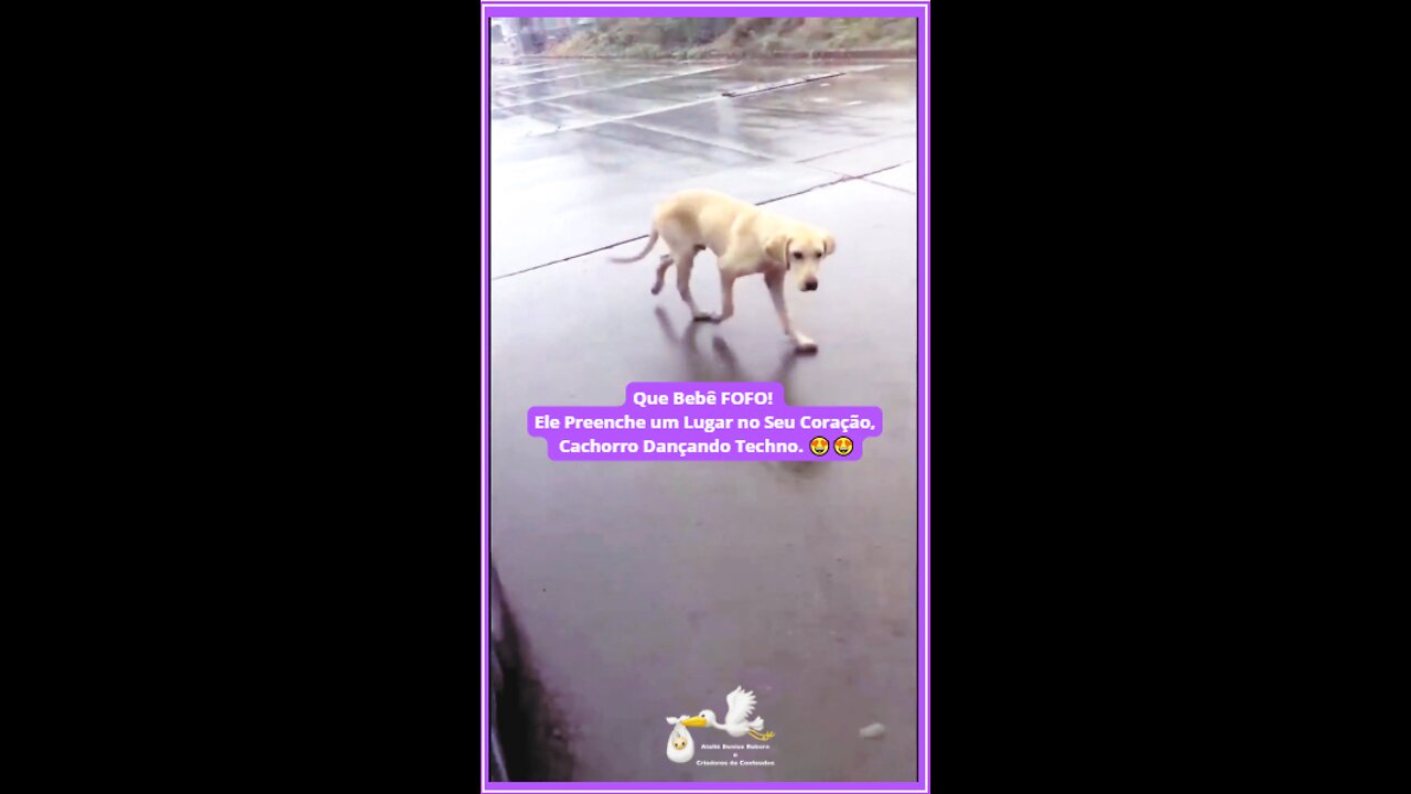 Que Bebê FOFO! Cachorro Dançando Techno! 😍😍 😍😍