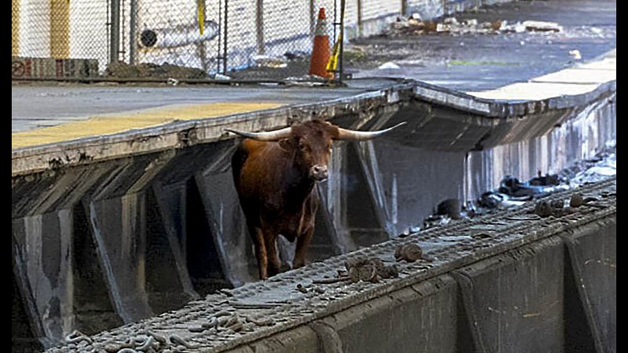 New Jersey Transit Is Full of Bull