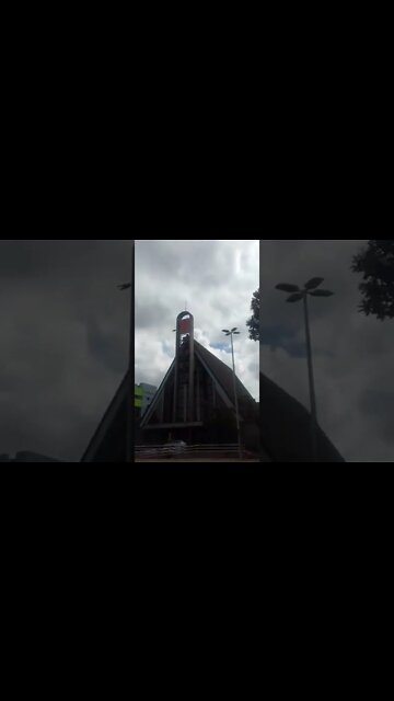 os pombos na praca pt10 #shorts