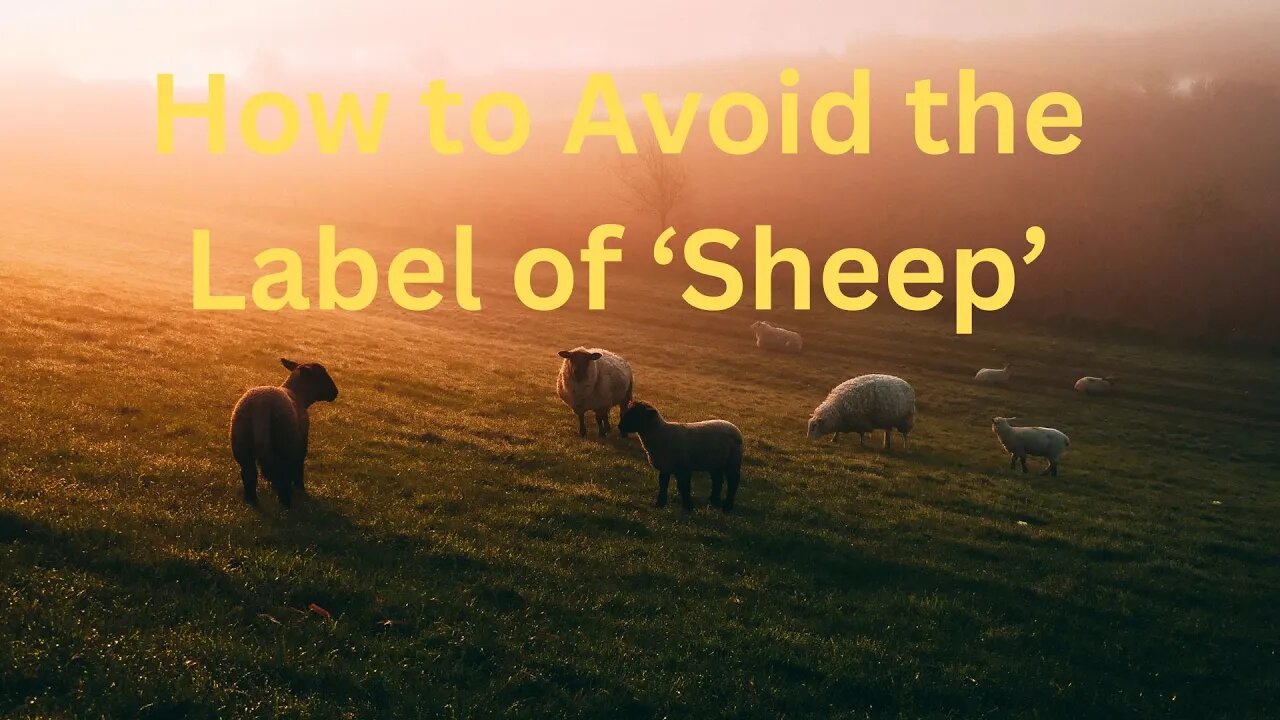 How to Avoid the Label of ‘Sheep’ ∞The 9D Arcturian Council, Channeled by Daniel Scranton 05-26-23