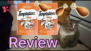 Cats Review Tantalizing Turkey Temptations