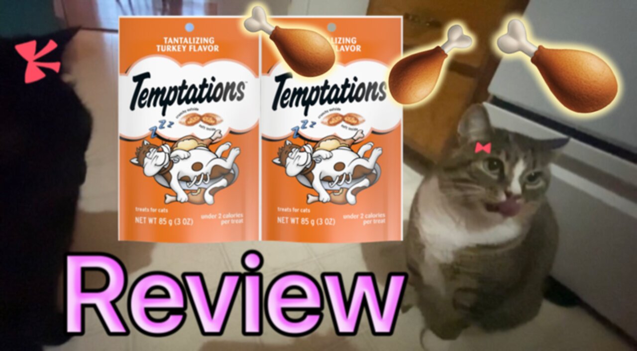 Cats Review Tantalizing Turkey Temptations