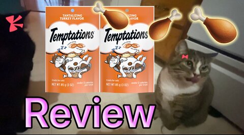 Cats Review Tantalizing Turkey Temptations