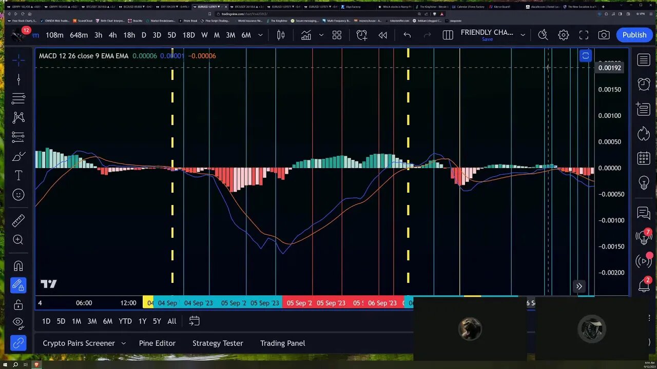 Daily Live Lab for Beginner Traders