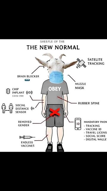 WEF Blueprint for 2030 Humans