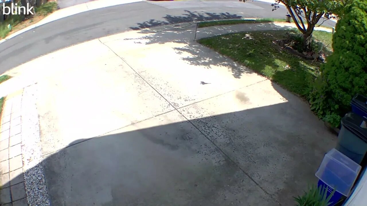 2_NORTH_FLOODLIGHT_VIDEO_CAM_2023-04-26T11_37_44-0400.mp4