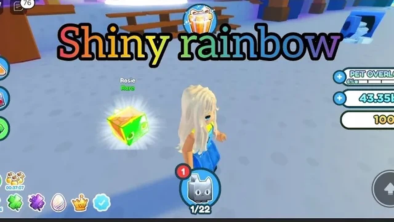 pet simulator X / Roblox / shiny rb / inventory