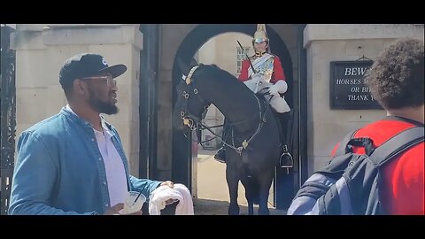 Horse gets excited its Time to go #horseguardsparade