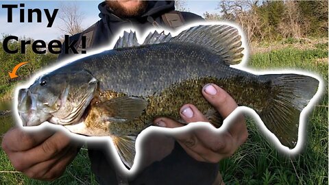 TINY CREEK holds BIG BASS