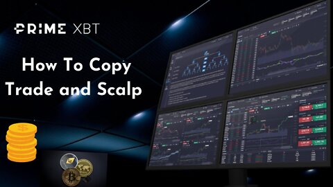 How To Copy Trade Using PrimeXBT