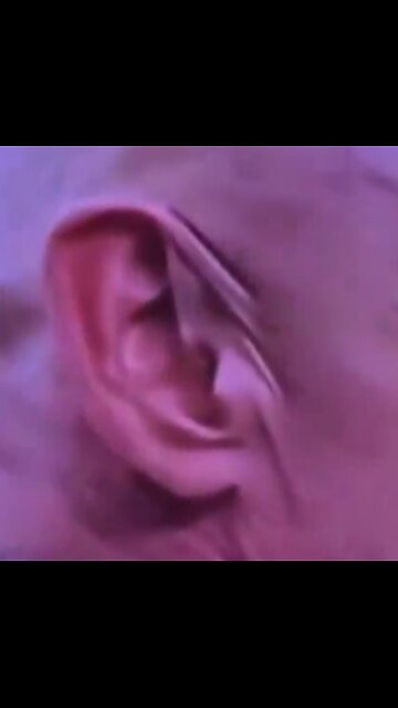 WAS AN ALIEN CAUGHT WEARING A "MISSION IMPOSSIBLE" MASK AT THE STATE OF THE UNION?