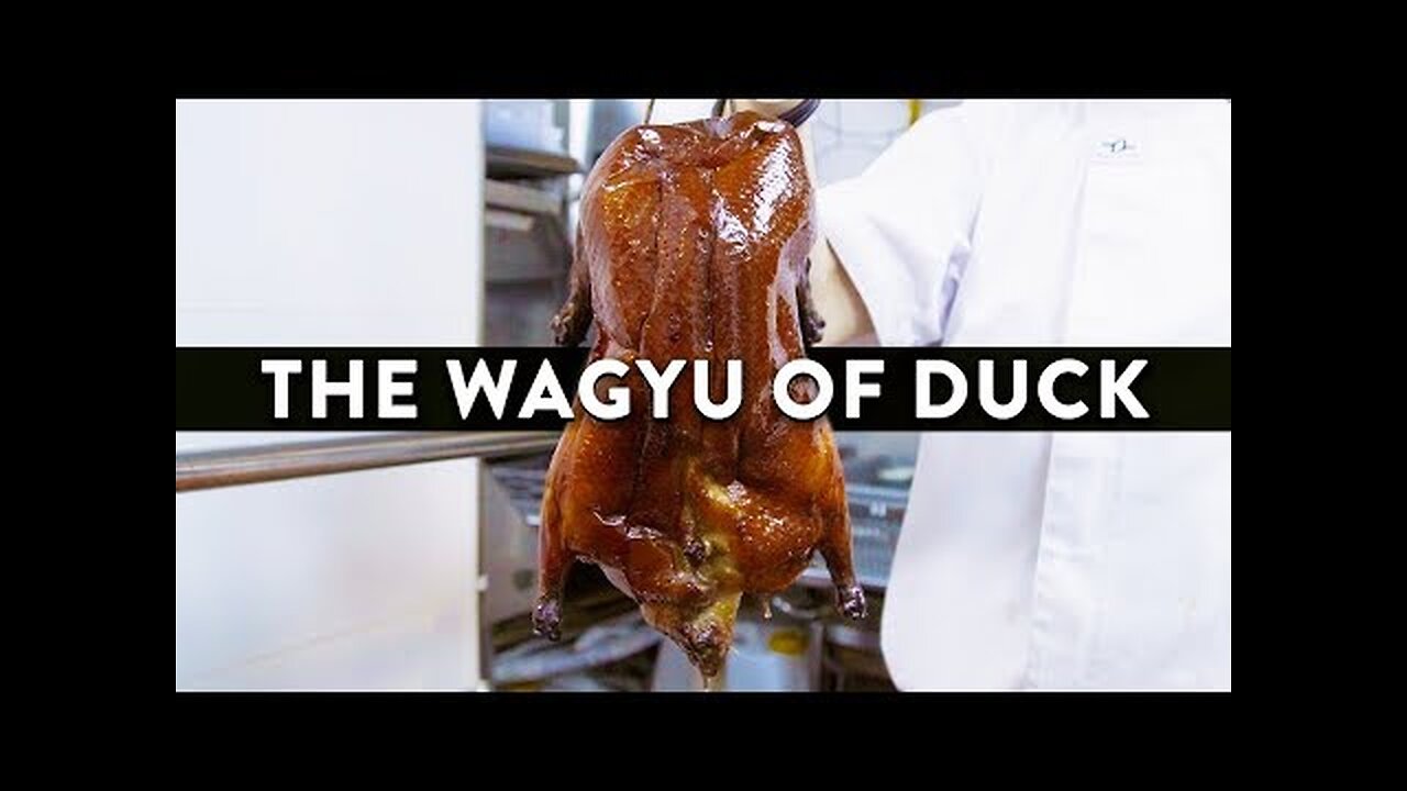 Incredible Duck Dishes Made With The Best Duck in the World- Duckland