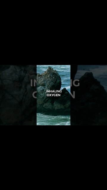 Listen to full meditations at Women's meditation network channel #meditation #sleep #shorts