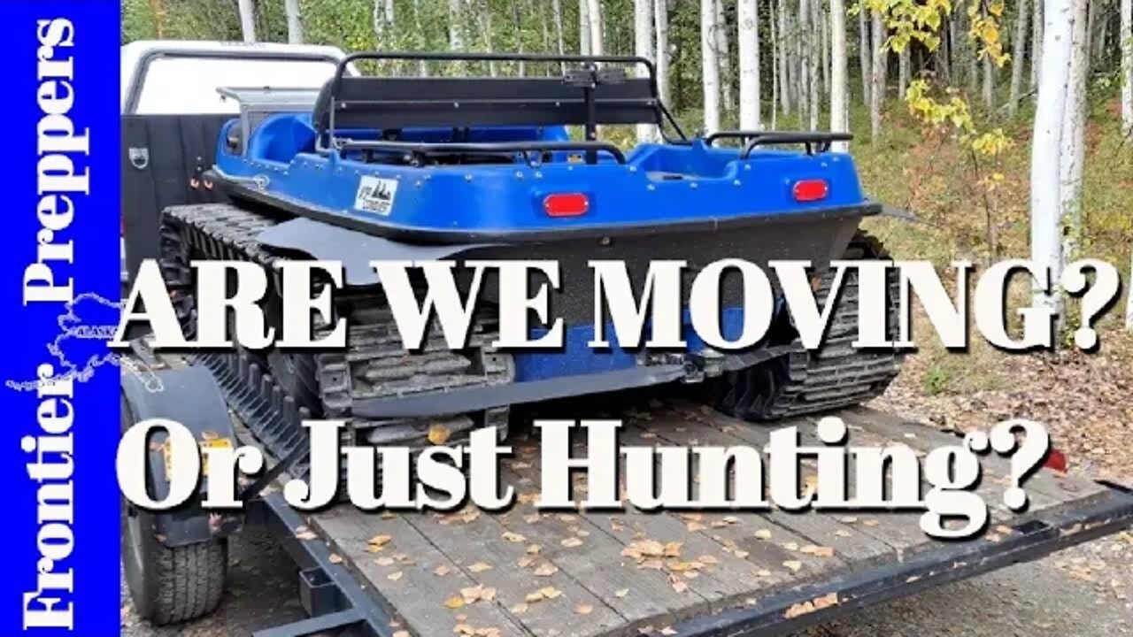 ARE WE MOVING? or Just Hunting?