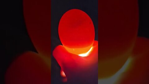 Hatching eggs with Mrs. B. Part 4