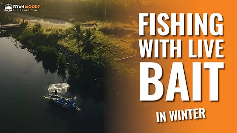 Fishing Hinchinbrook with live bait in winter.