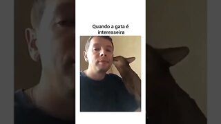 GATO INTERESSEIRO 🤭 #shorts #planetaanimalshorts #eulovegatos