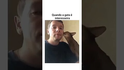 GATO INTERESSEIRO 🤭 #shorts #planetaanimalshorts #eulovegatos