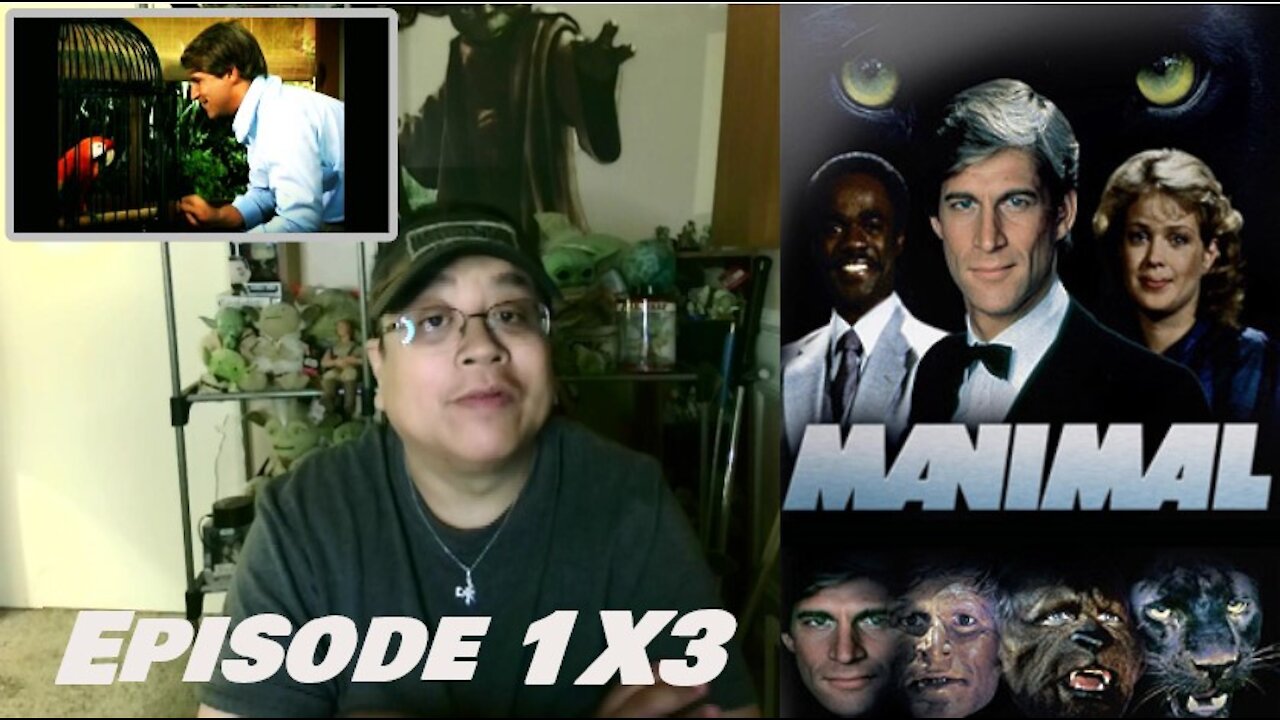 Manimal 1X3 "The Night of the Scorpion" REACTION