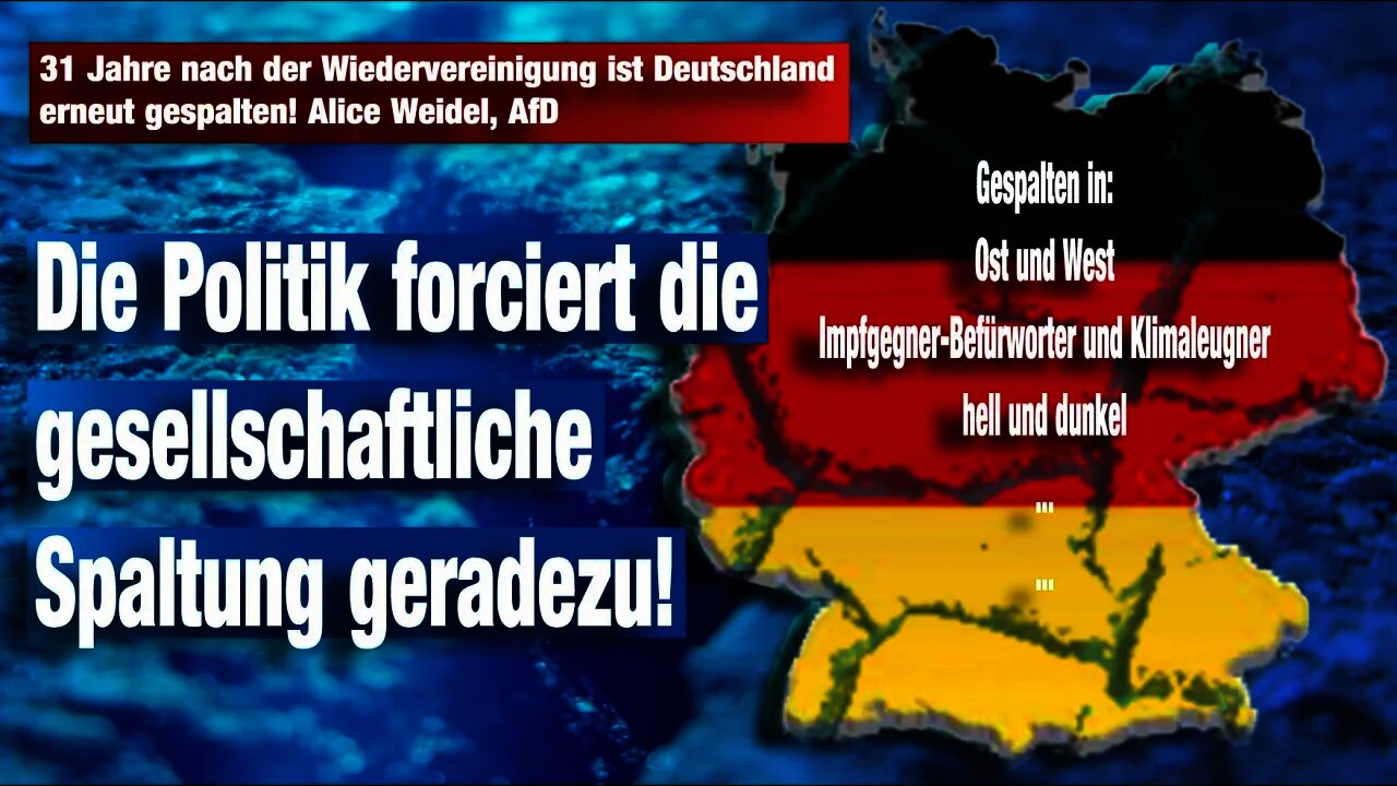 31 Jahre nach der Wiedervereinigung ist Deutschland erneut gespalten! Alice Weidel, AfD