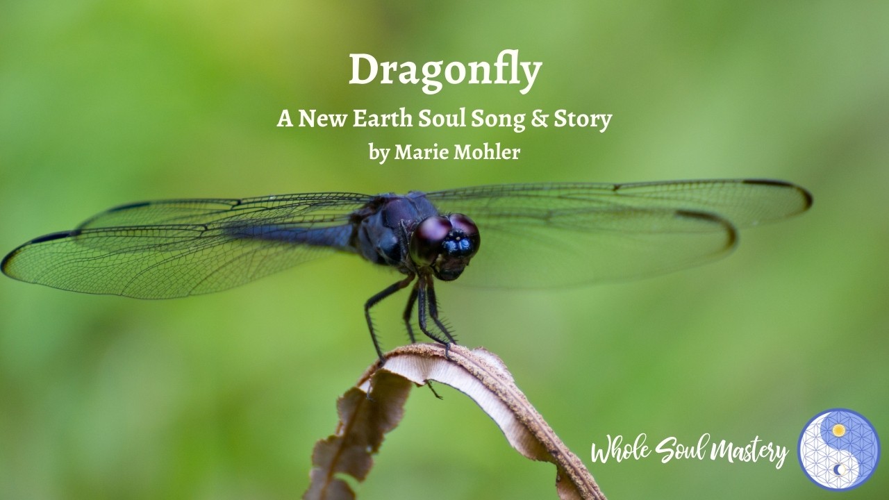 Dragonfly ~ An Inspirational New Earth Soul Song & Story