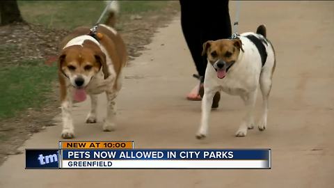 Greenfield lifts ban on dogs in city parks