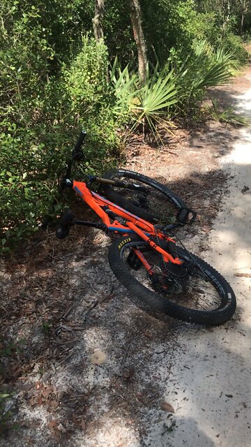 Wipe out the result of stealing