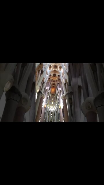 La Sagrada Familia Cathedral - Interior The Unfinished Masterpiece Barcelona #gaudi #shorts